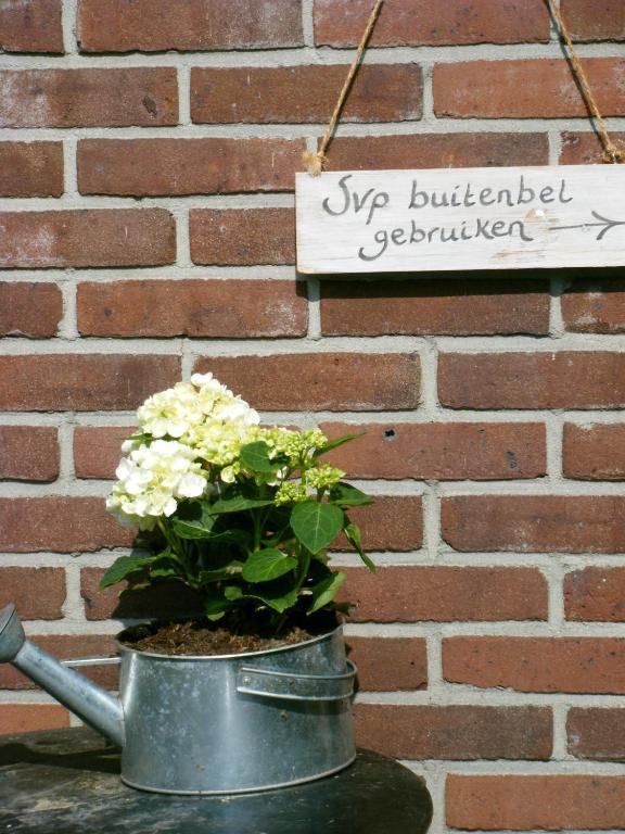Molenvoort Wachtum Exterior foto